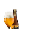 Viven New England Ipa 33 cl - Escerveza
