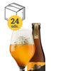 Viven New England Ipa 33 cl - Escerveza